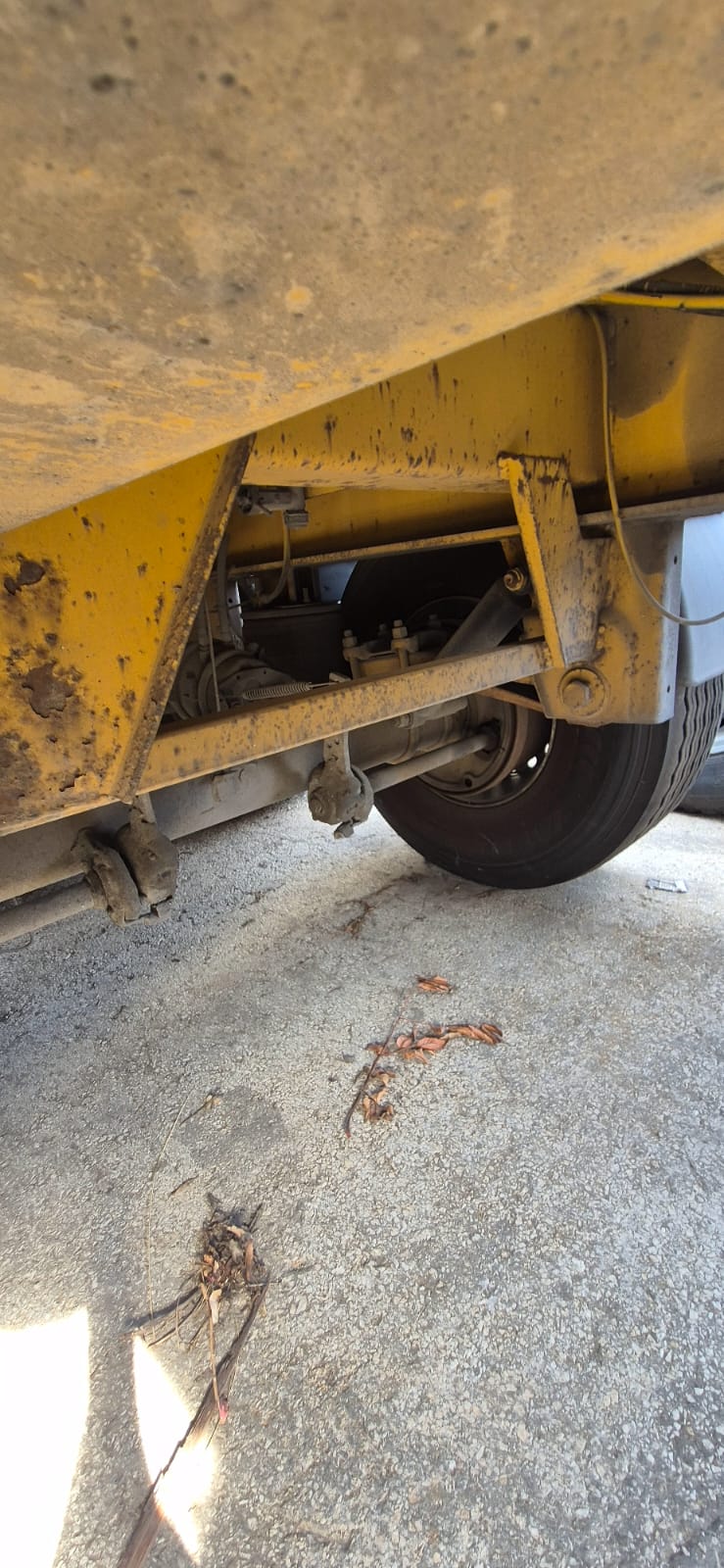 עיצוב ללא שם - 2025-12-18T150226