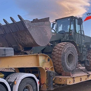 לובי כבד שלדות שנת 1989